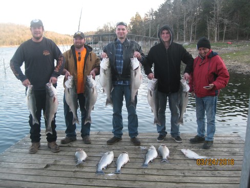 Nice Striped Bass